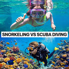 Snorkeling and Diving